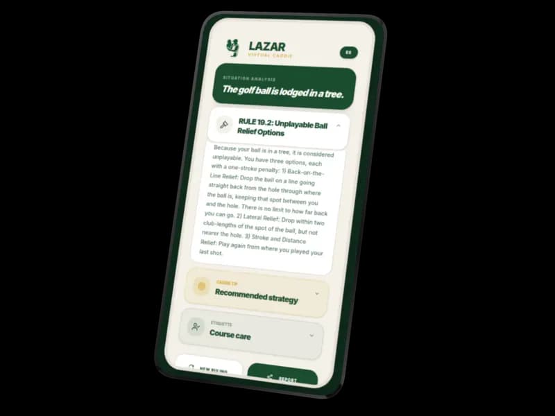 Lazar analyzes the situation